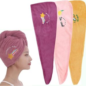 Dry Hair Towel Microfiber Soft Shower Cap Embroidered Coral Velvet Ladies Head Wrap Absorbent Fast Dry Head Towel Shower